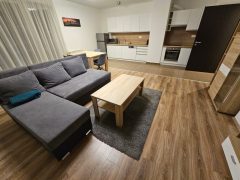 Debrecen, Dóczy József utca - Spacious flat with terrace next to Uni