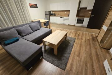 Debrecen, Dóczy József utca - Spacious flat with terrace next to Uni